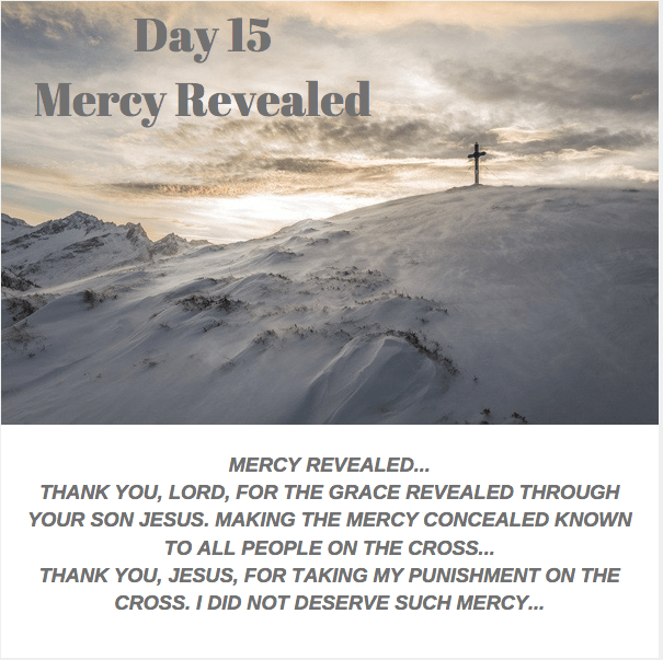 Day 15 Mercy revealed.png