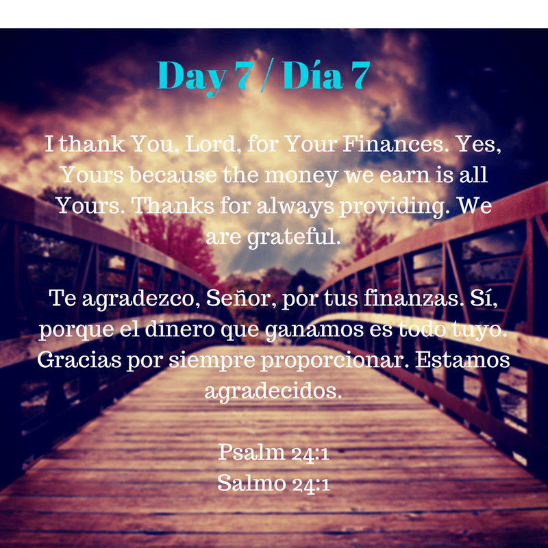 Day 7.png