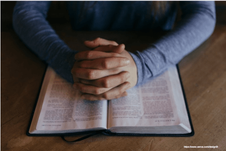 Screen Shot 2017-11-17 at 8.24.22 AM.png