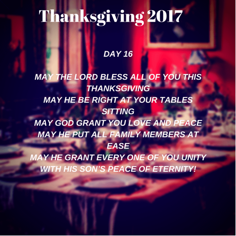 Thanksgiving 2017 Day 16.png