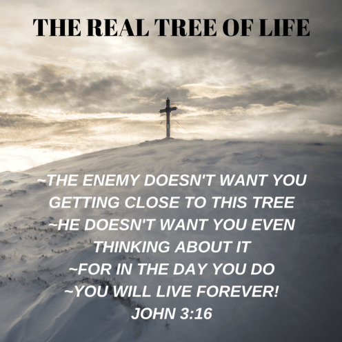 The Real Tree of Life_Oscar Roca.png