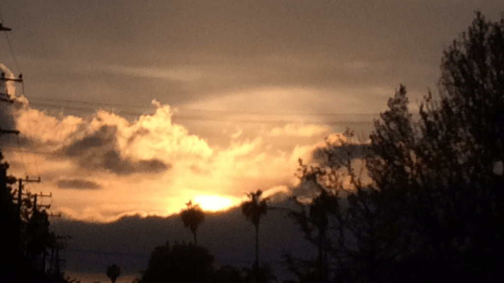 A land flowing with milk but no honey please!       |Resurrection Sunday&nbsp;2017