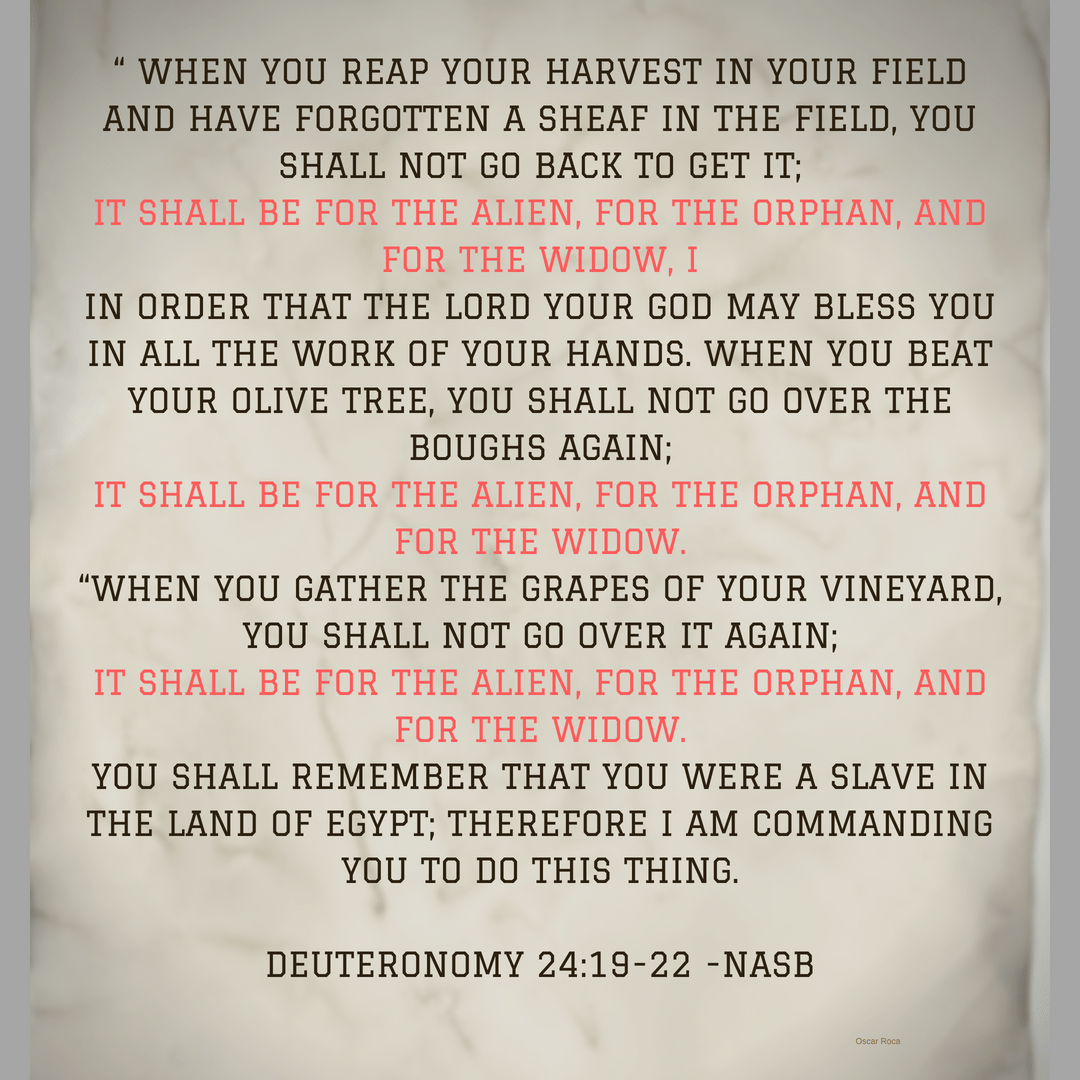 DEUt 24_The Alien, Widow & Orphan.png