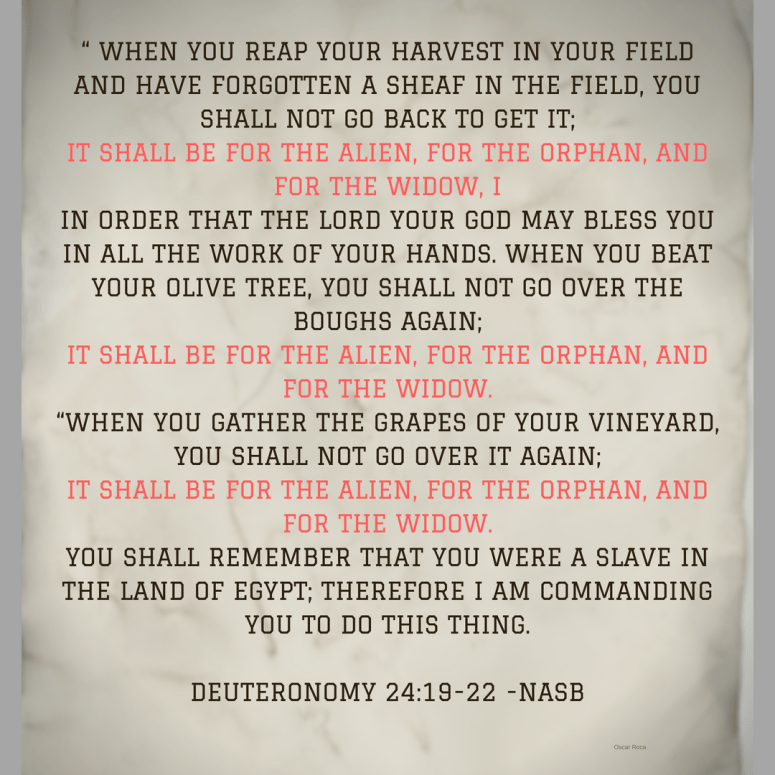 DEUt 24_The Alien, Widow & Orphan.png