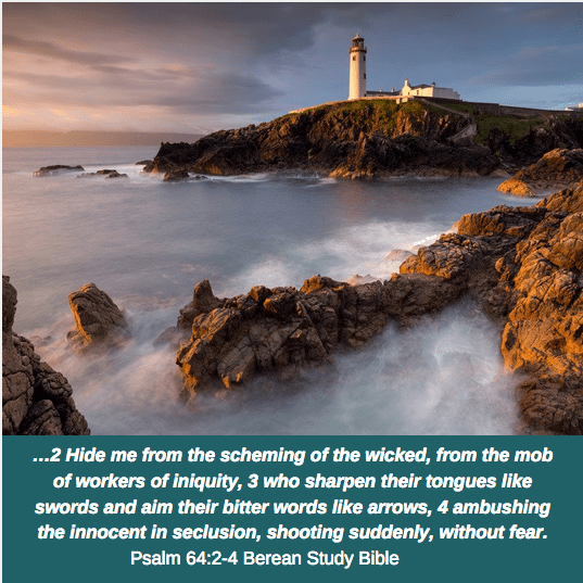 Screen Shot 2018-07-30 at 8.40.41 AM.png