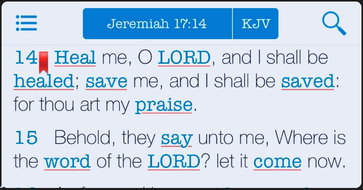 Study Bible app .png